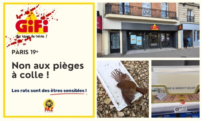 GiFi Paris 19ᵉ : non aux pièges à colle !