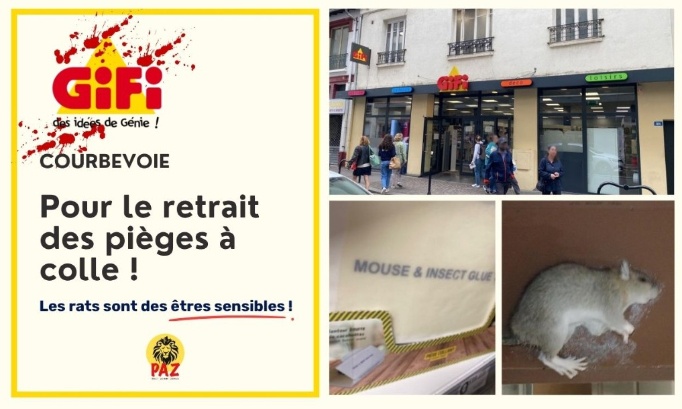 GiFi Courbevoie : pour le retrait des pi&egrave;ges &agrave; colle !
