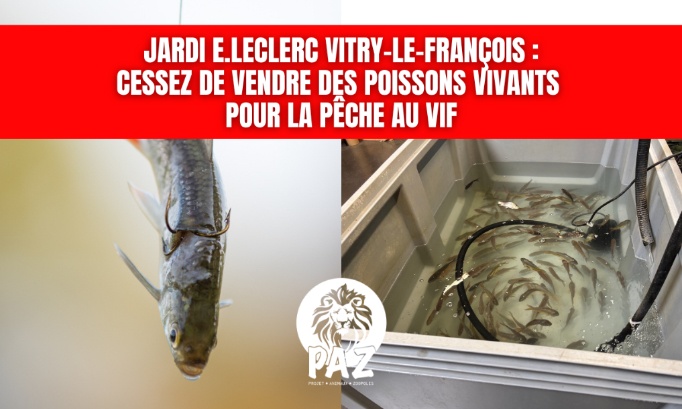 E.Leclerc Vitry-le-François : cessez de vendre des poissons vivants pour la pêche au vif