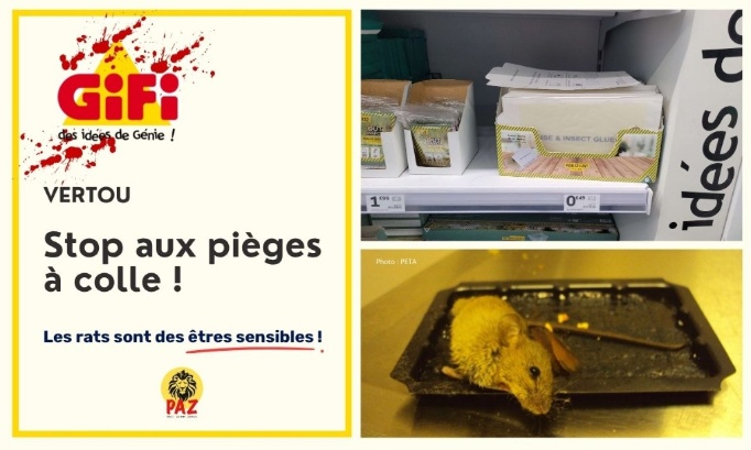 GiFi Vertou : stop aux pièges à colle !