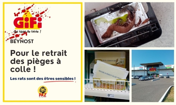Pour le retrait des pièges à colle au GiFi Beynost