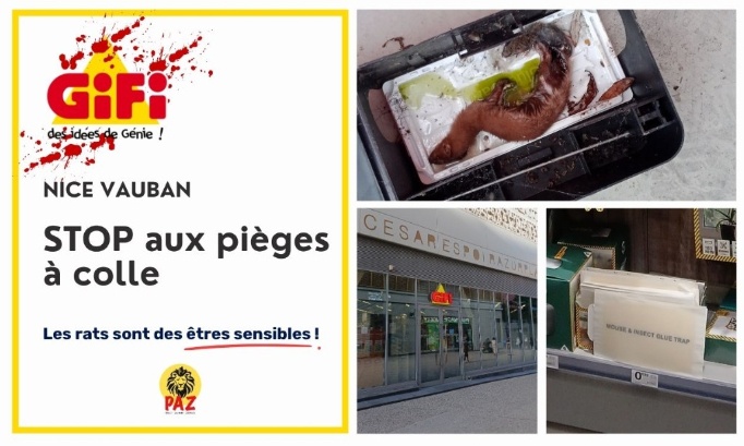 Non aux pièges à colle au GiFi Nice Vauban
