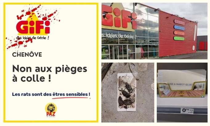 GiFi Chenôve : non aux pièges à colle !