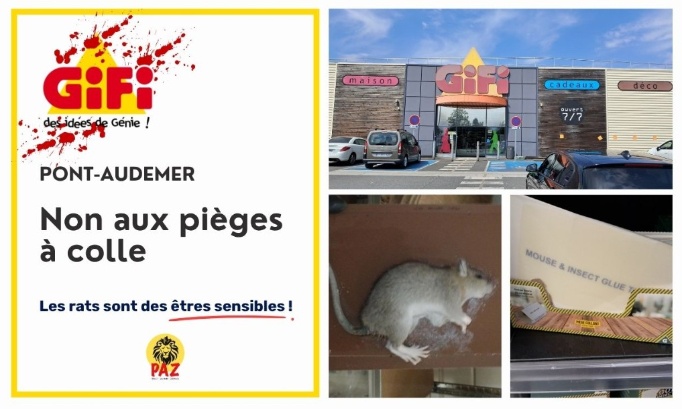 Stop aux pièges à colle au GiFi Pont-Audemer
