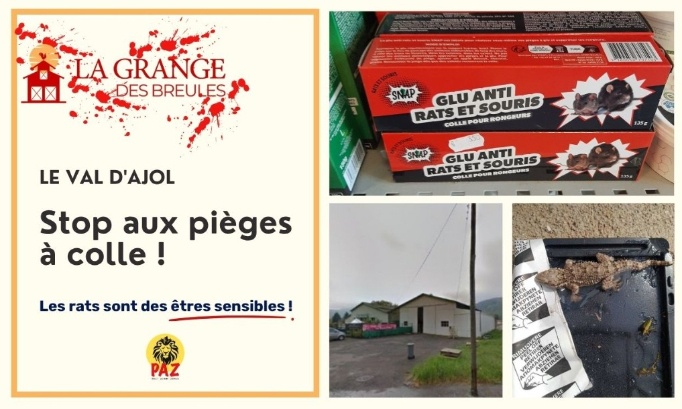 Fin de la cruauté envers les animaux à La Grange des Breules du Val d'Ajol