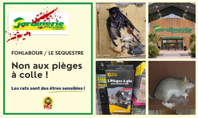 Non aux pièges à colle à la Jardinerie Tarnaise Fonlabour à Le Sequestre