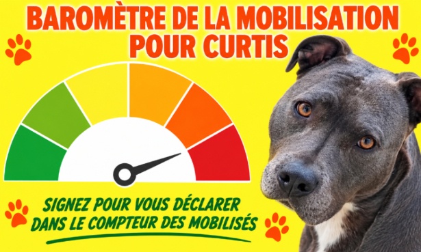 Pour curtis, cr&eacute;ons un barom&egrave;tre de la mobilisation