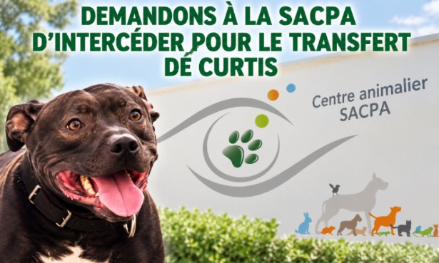 Demandons &agrave; la Sacpa nous aider pour le transfert