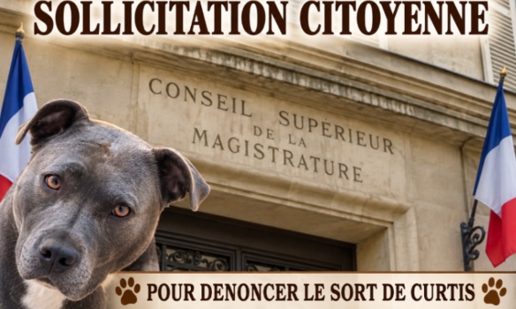 Pétition pour Curtis partagée sur les réseaux sociaux - News Directory 3