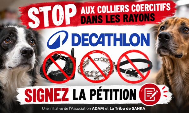 Pour le retrait des colliers &eacute;lectriques, vibrants et &eacute;trangleurs des rayons Decathlon
