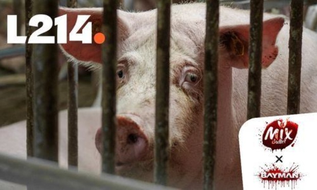 BAYMAN, votre sponsor Mix Buffet doit se mouiller pour les cochons