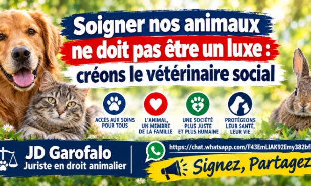 Soigner nos animaux ne dois pas &ecirc;tre un luxe : cr&eacute;ons le v&eacute;t&eacute;rinaire social