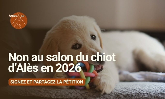 Al&egrave;s Agglom&eacute;ration, ne louez plus votre parc des expositions &agrave; la vente d'animaux
