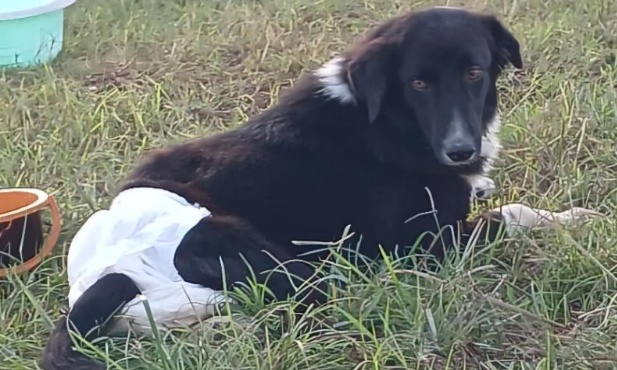 Pour que Ifrane soit donn&eacute; &agrave; son adoptante