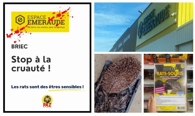 Stop &agrave; la cruaut&eacute; chez Espace Emeraude Briec
