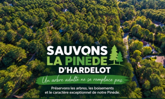 SAUVONS LES ARBRES DE LA PINÈDE D’HARDELOT