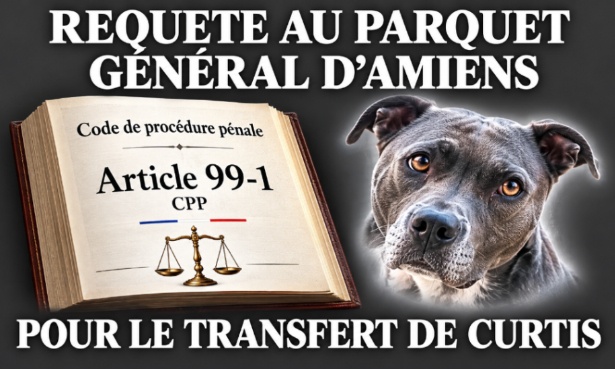 Curtis : pour demander au parquet général d'Amiens son transfert
