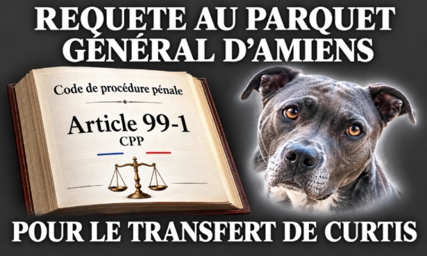Curtis : pour demander au parquet général d'Amiens son transfert