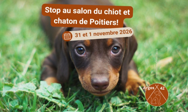 Stop au salon du chiot de Poitiers !