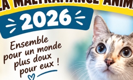 Pour une meilleure protection animale : aidons les familles à prendre soin de leurs animaux !