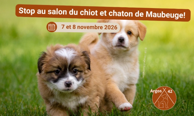 Stop au salon du chiot et chaton de Maubeuge !
