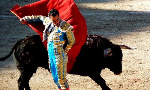 Il faut un amendement à l'alinéa 7 ! Permettons la corrida uniquement par tradition !