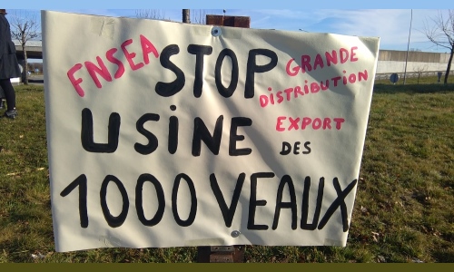 Article partial tentant de ridiculiser les défenseurs du bien-être animal