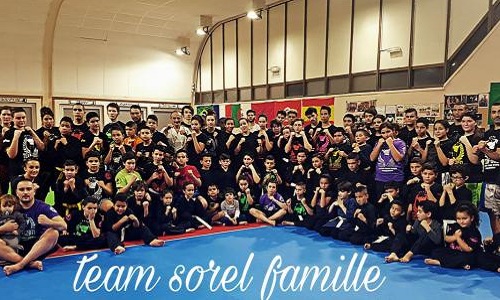 Reconnaissance du statut de sportif professionnel de M. Sorel Yvan