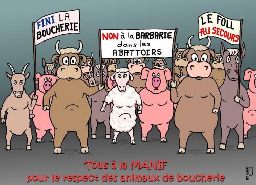 Stop au massacre dans les abattoirs Francais!