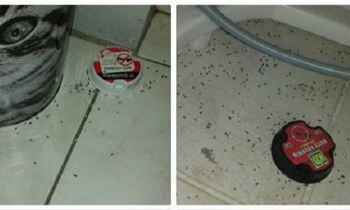 Dédommagements : logement insalubre