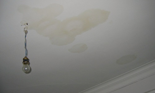 Location non-conforme et insalubre