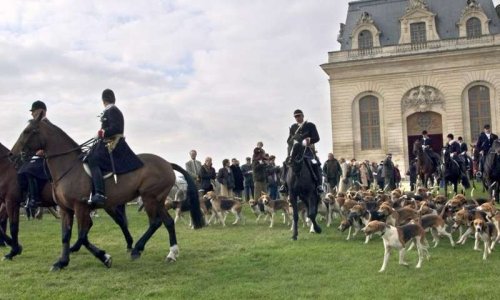 Non au retour de la chasse présidentielle M. Macron