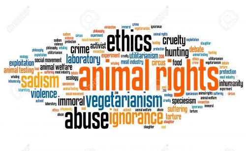IT'S TIME FOR S.KOREA TO TAKE ANIMAL WELFARE SERIOUSLY.