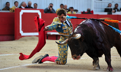 Contre la corrida organisée à Arles le week-end de pâques 2017