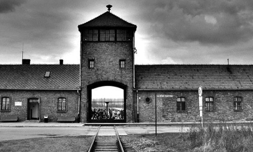 Contre les camps d'extermination en Tch&eacute;tch&eacute;nie