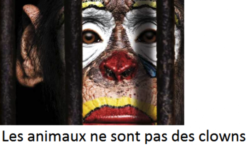 Pas d’animaux dans les cirques à Saint-Dié-des-Vosges