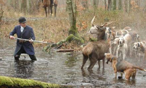 NON A LA CHASSE A COURRE DANS LES VOSGES