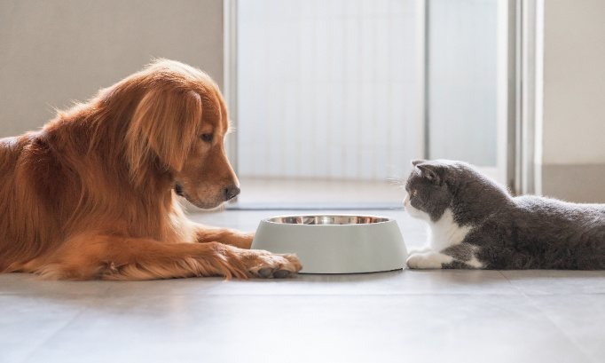 TVA à taux réduit pour toute l'alimentation animale !