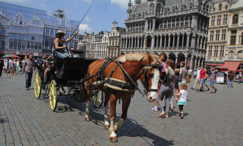 Pour l'interdiction des calèches touristiques à Bruxelles