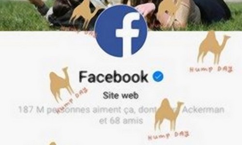 Un chameau c'est bien, une pluie de chameaux c'est mieux