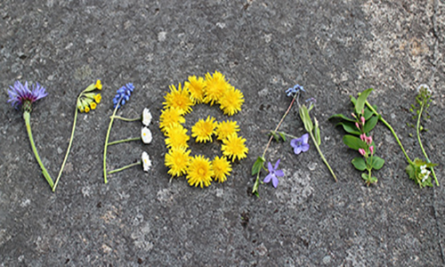 Pour qu'une commision parlementaire fasse  une enquête sur les  groupes animalistes et végans