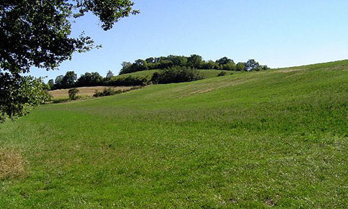 Sauvegarder le château de Montfa
