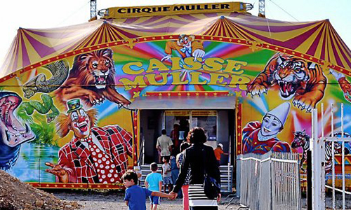 Pour l'interdiction des cirques avec animaux à Gassin dans le Var