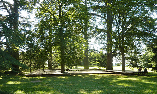 Non à la supression du Parc des Marôts !