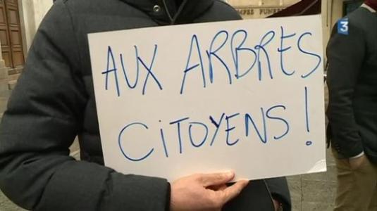 Contre l'abattage d'arbres centenaires à Thionville