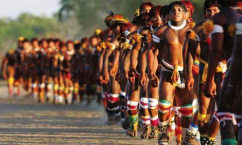 Sauvons les indiens Guarani Kaiowa du Brésil