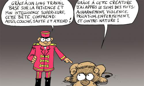 Nous ne voulons pas de cirques avec animaux sur notre territoire