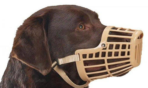 Pas de muselière pour les innocents !