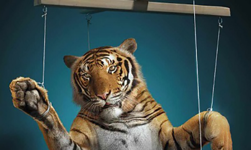 Non au cirque avec animaux Melvin sur la commune d'Epinay Sur Orge !