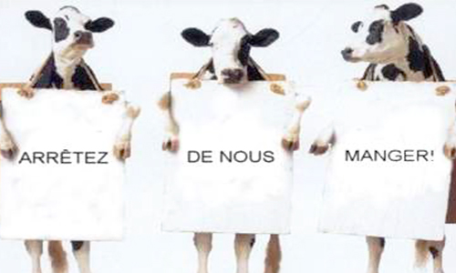 Non à « Made in viande » Oui au « Made in végétal ! » pour la survie des animaux !